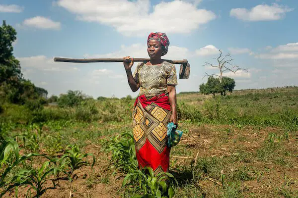 Ana Viola, working on her land, Manica Province, Mozambique